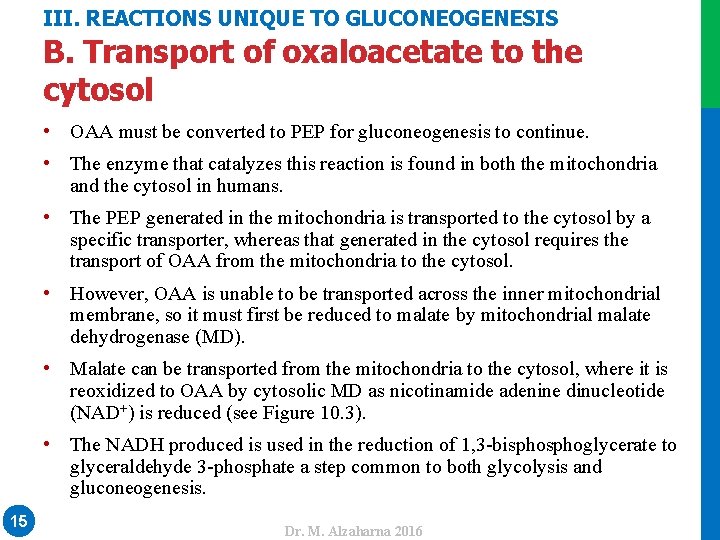 III. REACTIONS UNIQUE TO GLUCONEOGENESIS B. Transport of oxaloacetate to the cytosol • OAA