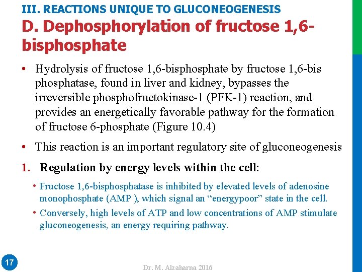 III. REACTIONS UNIQUE TO GLUCONEOGENESIS D. Dephosphorylation of fructose 1, 6 bisphosphate • Hydrolysis