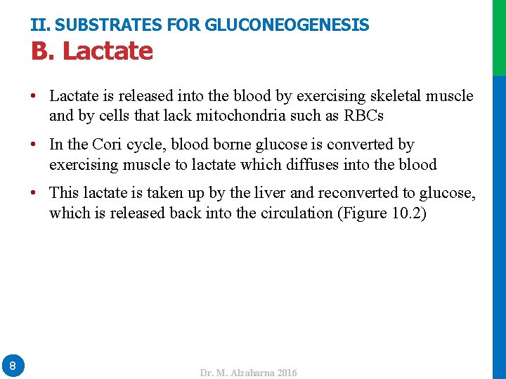 II. SUBSTRATES FOR GLUCONEOGENESIS B. Lactate • Lactate is released into the blood by