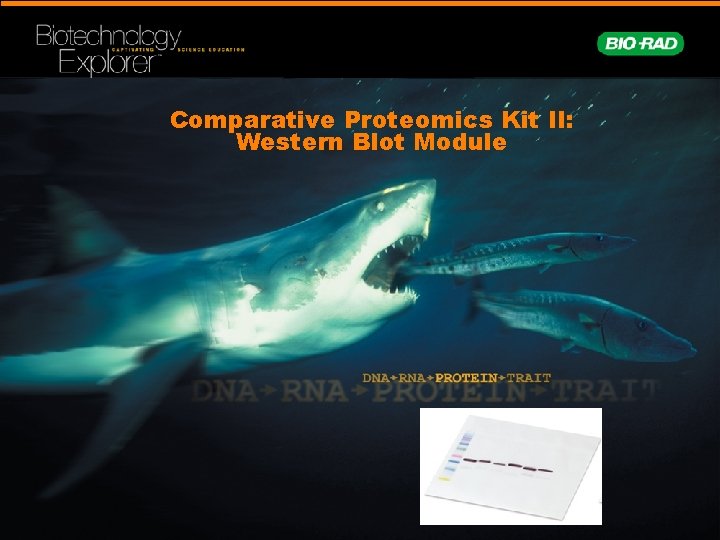 Comparative Proteomics Kit II: Western Blot Module 