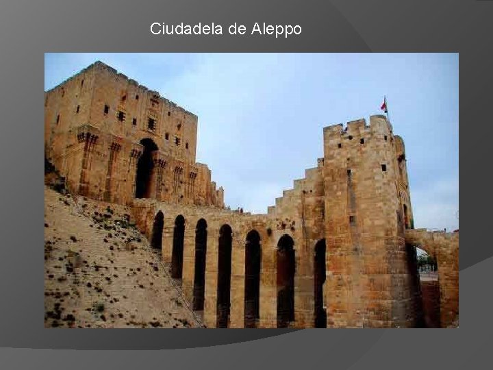 Ciudadela de Aleppo 