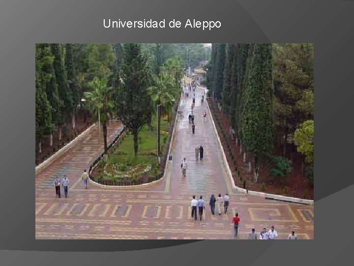 Universidad de Aleppo 