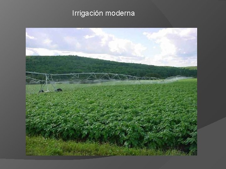Irrigación moderna 