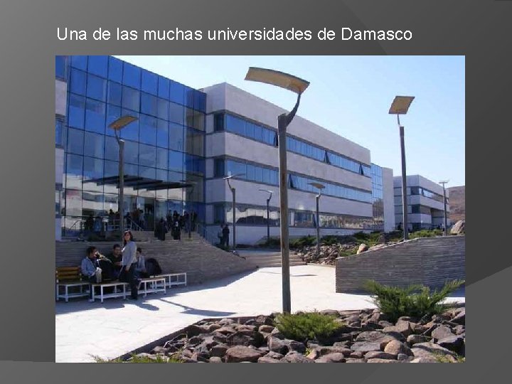 Una de las muchas universidades de Damasco 