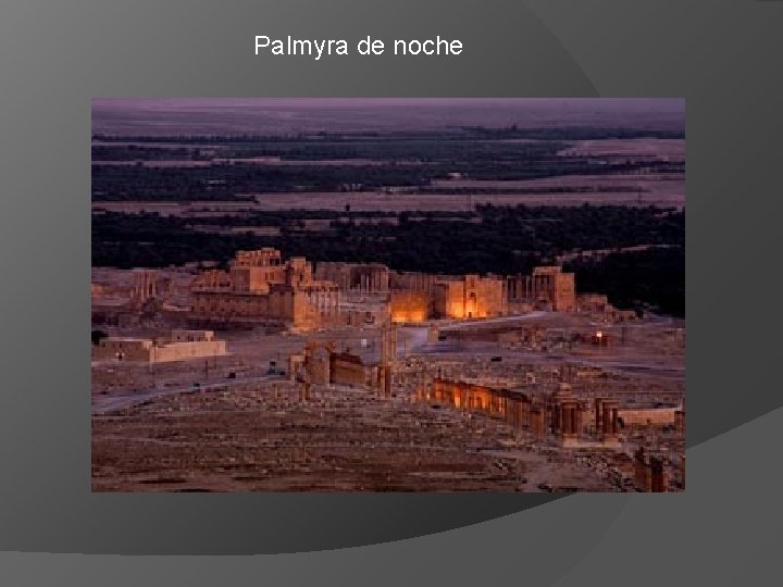 Palmyra de noche 