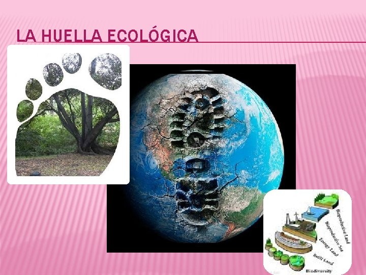 LA HUELLA ECOLÓGICA 