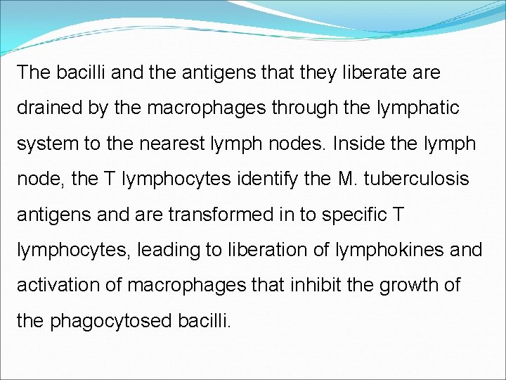 The bacilli and the antigens that they liberate are drained by the macrophages through