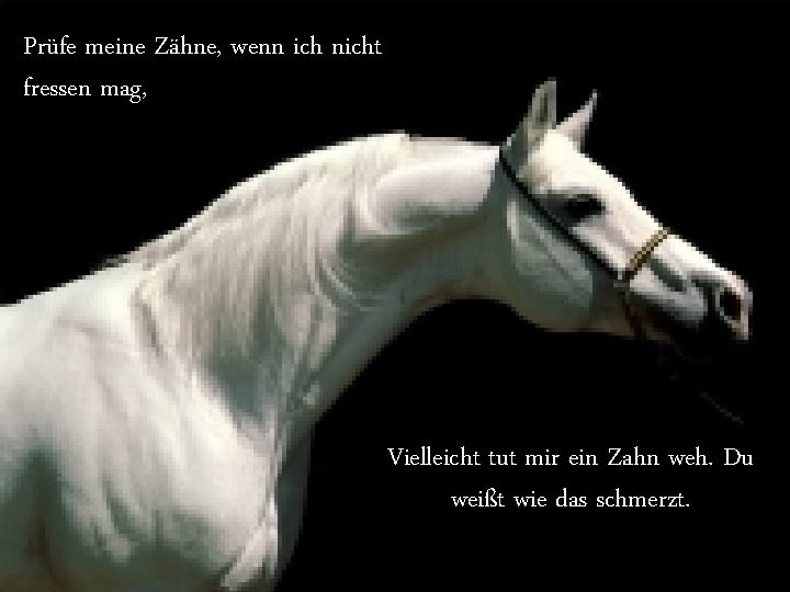 Halte mich nicht zu. Prüfe kurzmeine und Zähne, wenn ich nicht fressenmeinen mag, kupiere