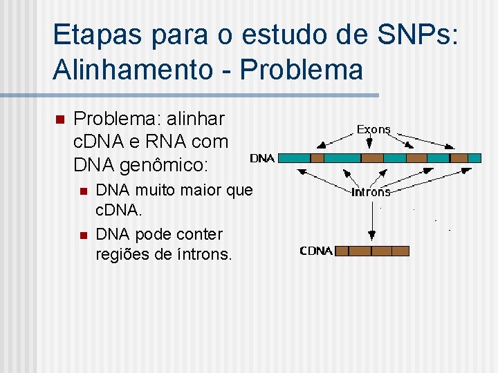 Etapas para o estudo de SNPs: Alinhamento - Problema n Problema: alinhar c. DNA