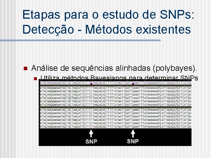 Etapas para o estudo de SNPs: Detecção - Métodos existentes n Análise de sequências