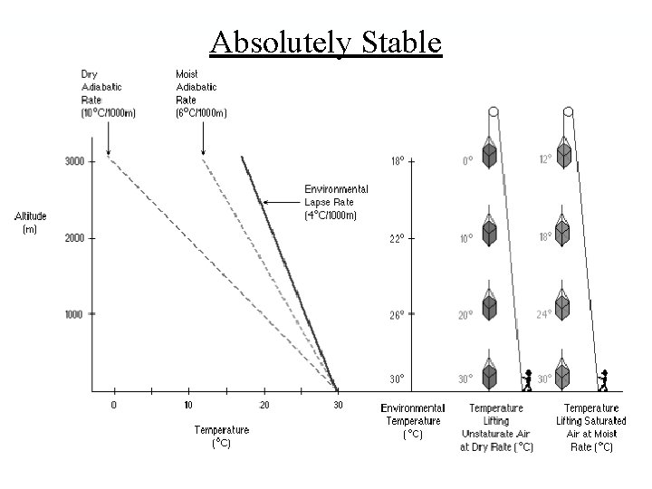 Absolutely Stable 6 