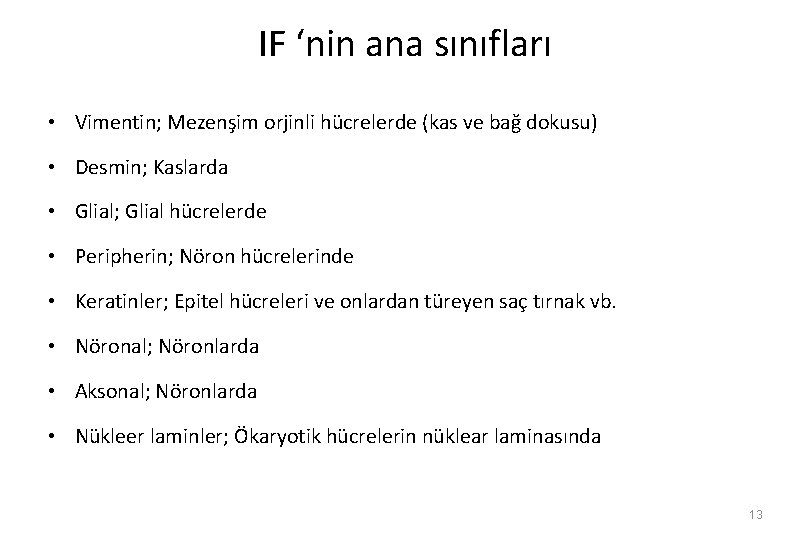 IF ‘nin ana sınıfları • Vimentin; Mezenşim orjinli hücrelerde (kas ve bağ dokusu) •