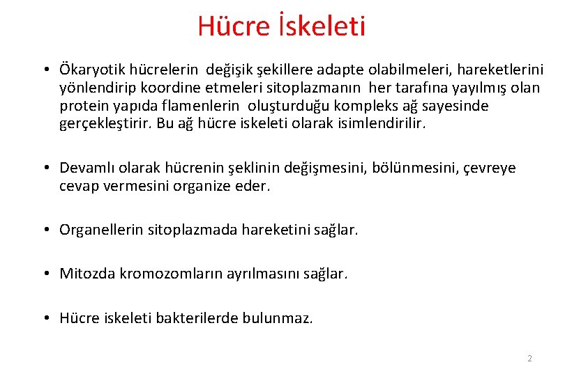 Hücre İskeleti • Ökaryotik hücrelerin değişik şekillere adapte olabilmeleri, hareketlerini yönlendirip koordine etmeleri sitoplazmanın