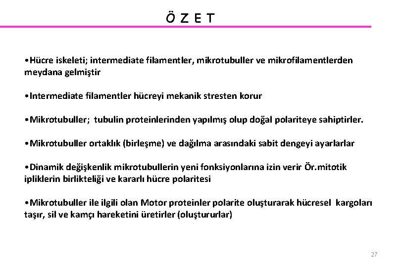 Ö Z E T • Hücre iskeleti; intermediate filamentler, mikrotubuller ve mikrofilamentlerden meydana gelmiştir