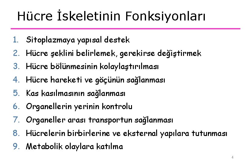 Hücre İskeletinin Fonksiyonları 1. Sitoplazmaya yapısal destek 2. Hücre şeklini belirlemek, gerekirse değiştirmek 3.