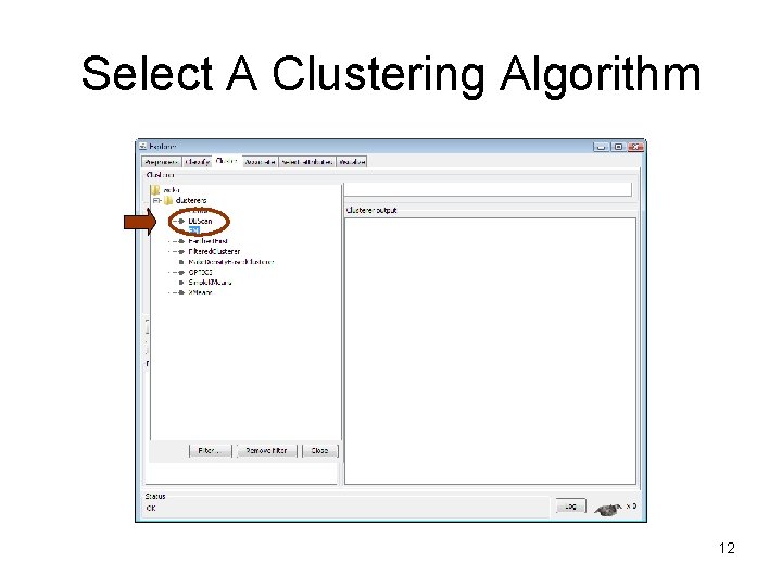 Select A Clustering Algorithm 12 