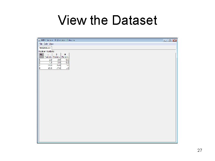 View the Dataset 27 