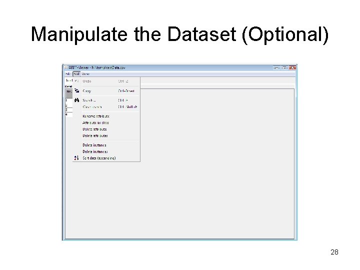 Manipulate the Dataset (Optional) 28 