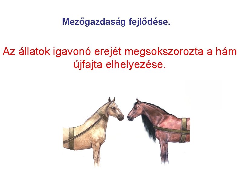 Mezőgazdaság fejlődése. Az állatok igavonó erejét megsokszorozta a hám újfajta elhelyezése. 