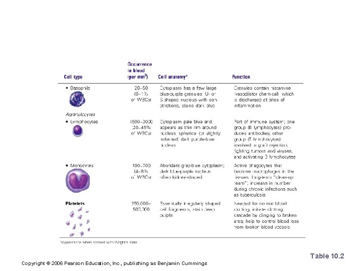 Characteristics of Formed Elements of the Blood Table 10. 2 Copyright © 2006 Pearson