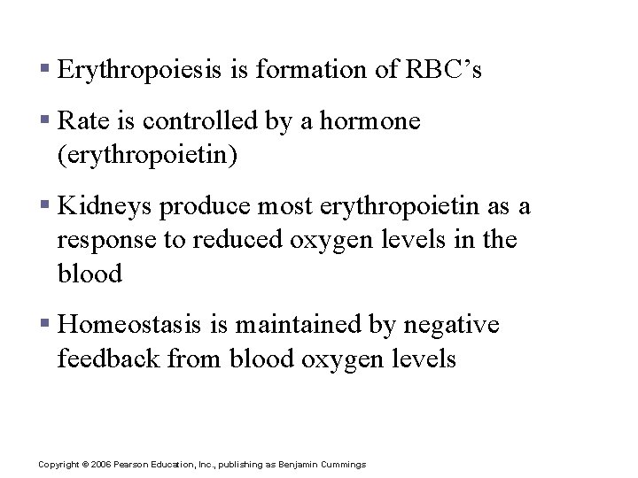 Control of Erythrocyte Production § Erythropoiesis is formation of RBC’s § Rate is controlled