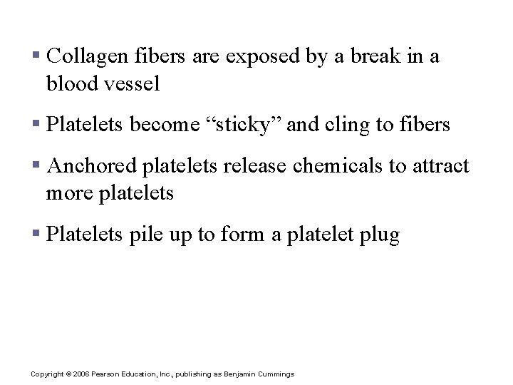 Platelet Plug Formation § Collagen fibers are exposed by a break in a blood