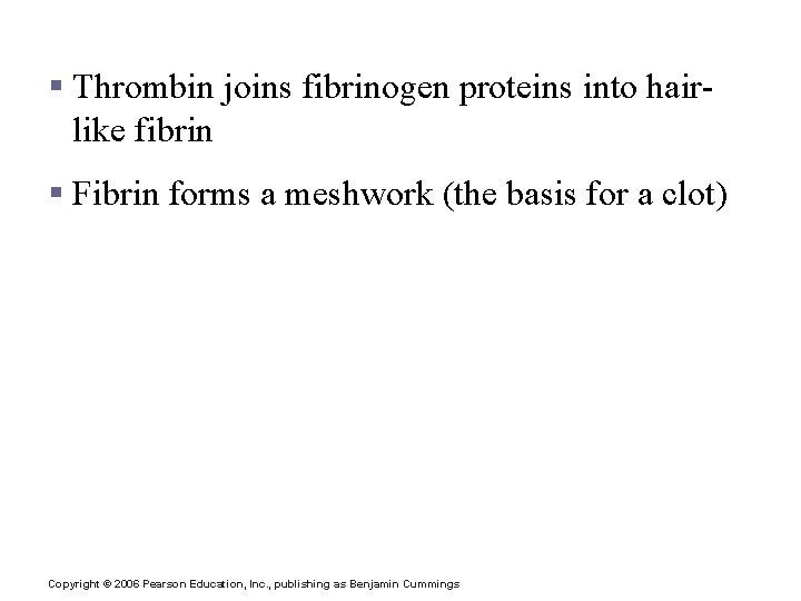 Coagulation § Thrombin joins fibrinogen proteins into hairlike fibrin § Fibrin forms a meshwork