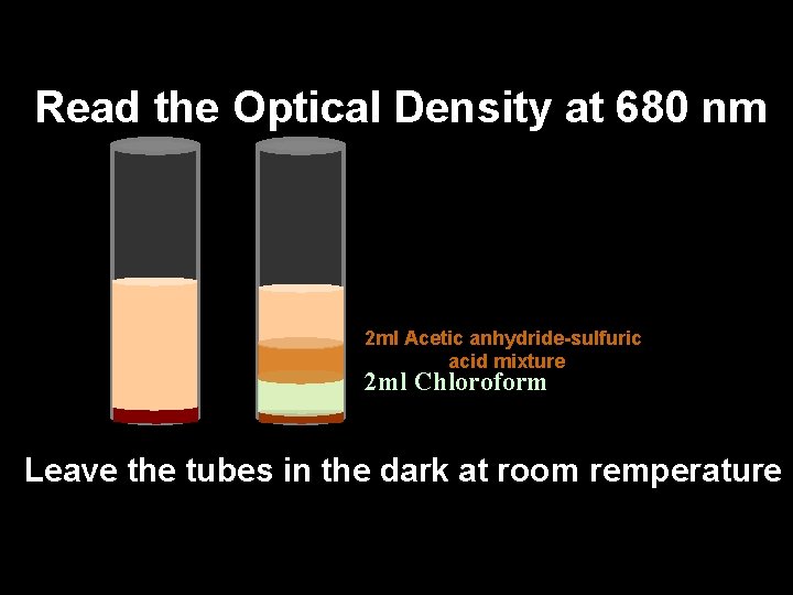 Read the Optical Density at 680 nm 2 ml Acetic anhydride-sulfuric acid mixture 2