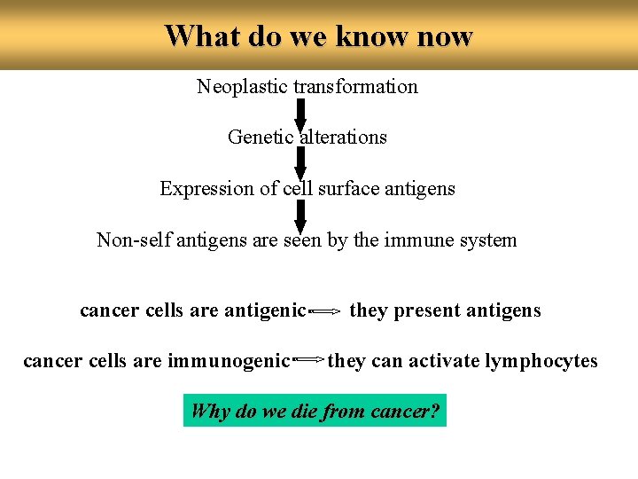 What do we know Neoplastic transformation Genetic alterations Expression of cell surface antigens Non-self