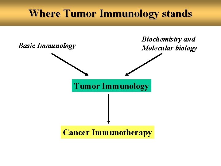 Where Tumor Immunology stands Basic Immunology Biochemistry and Molecular biology Tumor Immunology Cancer Immunotherapy