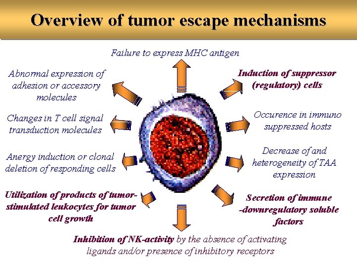 Overview of tumor escape mechanisms Failure to express MHC antigen Abnormal expression of adhesion