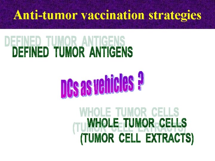 Anti-tumor vaccination strategies 