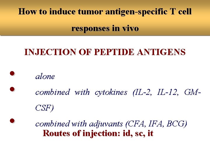How to induce tumor antigen-specific T cell responses in vivo INJECTION OF PEPTIDE ANTIGENS
