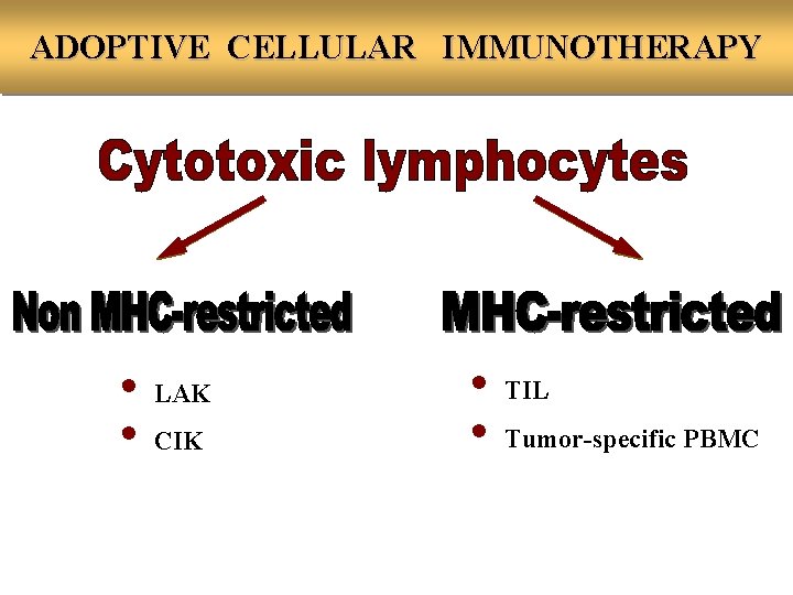 ADOPTIVE CELLULAR IMMUNOTHERAPY • LAK • CIK • TIL • Tumor-specific PBMC 