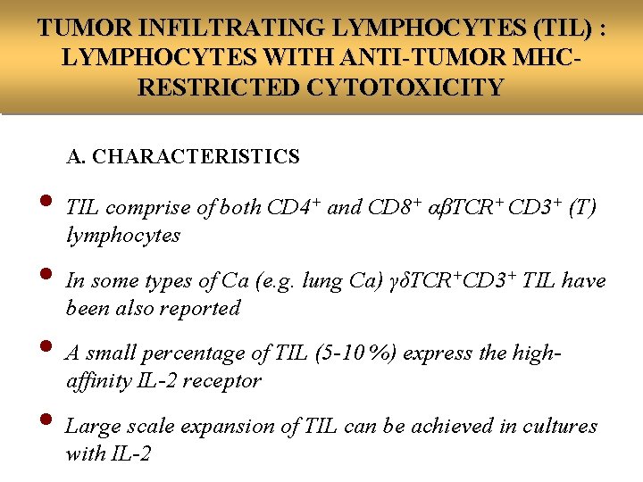 TUMOR INFILTRATING LYMPHOCYTES (TIL) : LYMPHOCYTES WITH ANTI-TUMOR MHCRESTRICTED CYTOTOXICITY A. CHARACTERISTICS • TIL