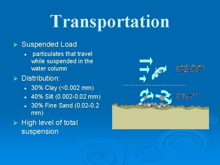 Transportation Ø Suspended Load l Ø Distribution: l l l Ø particulates that travel