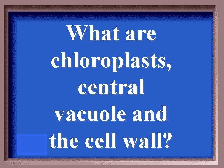 What are chloroplasts, central vacuole and the cell wall? 