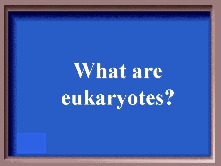 What are eukaryotes? 