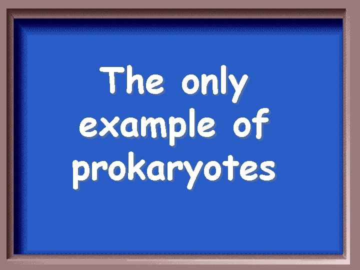 The only example of prokaryotes 