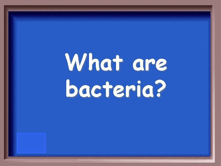 What are bacteria? 