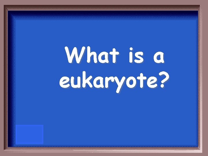 What is a eukaryote? 