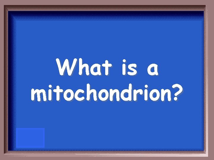 What is a mitochondrion? 