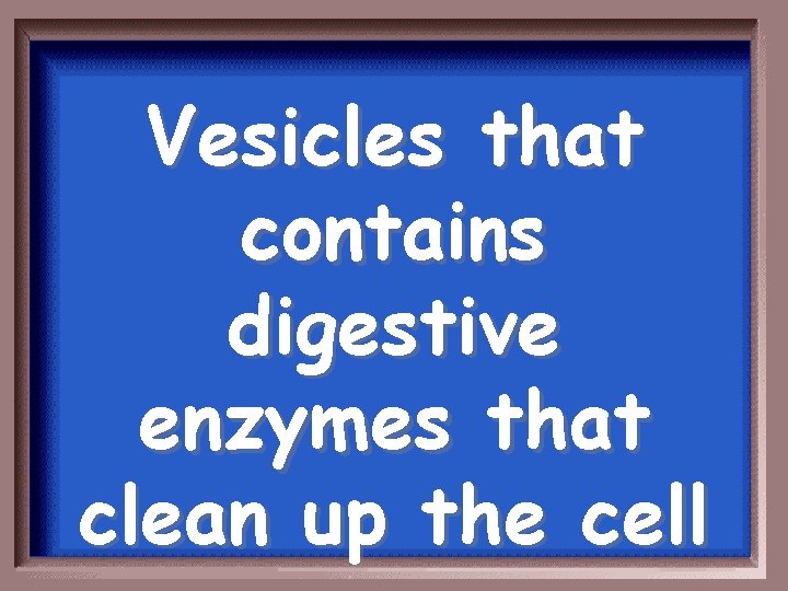 Vesicles that contains digestive enzymes that clean up the cell 