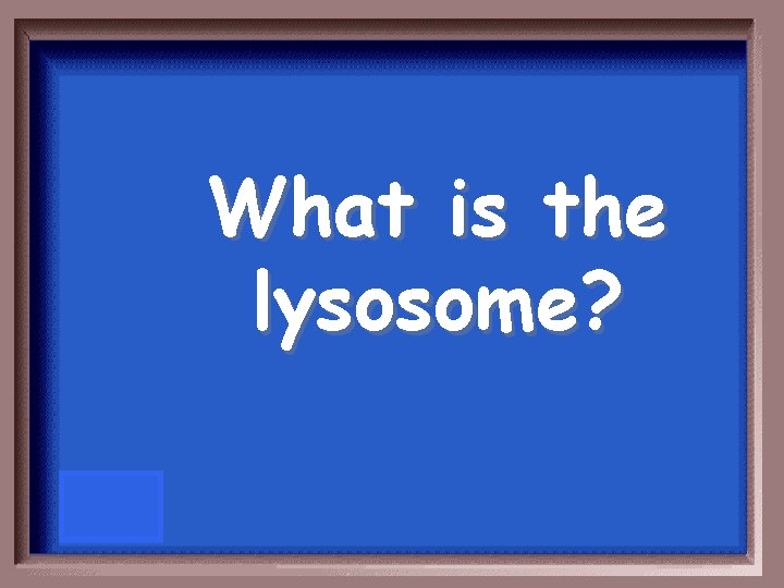 What is the lysosome? 