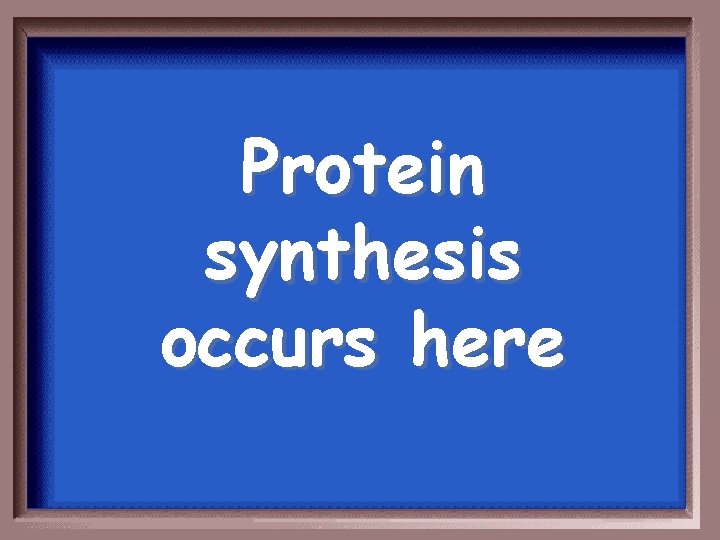 Protein synthesis occurs here 