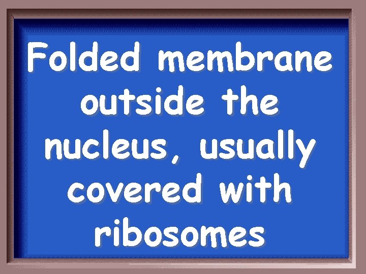 Folded membrane outside the nucleus, usually covered with ribosomes 