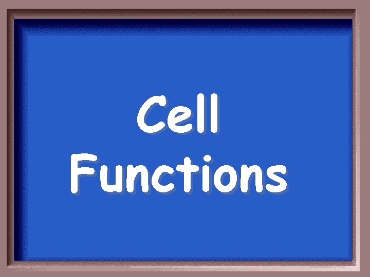 Cell Functions 