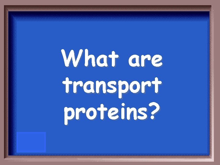 What are transport proteins? 