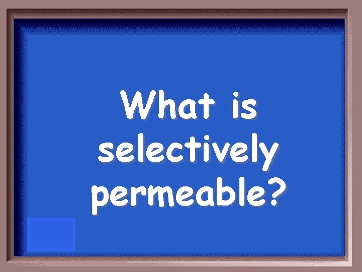 What is selectively permeable? 