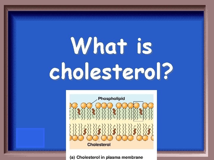 What is cholesterol? 